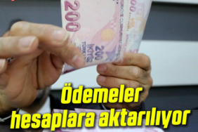 ödemeler