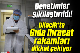 rakamlar