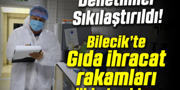 rakamlar