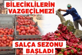 salçaaaaa
