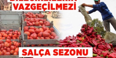 salçaaaaa