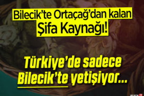 şifa kaynağı