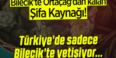 şifa kaynağı