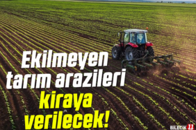 tarım