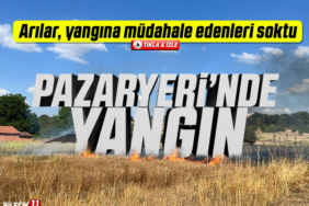 yangın