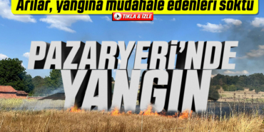 yangın