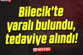 yaralı