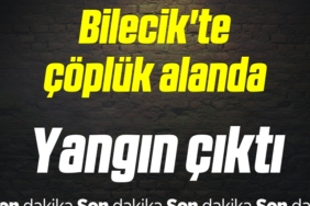 BILECIK-TE-COPLUK-ALANDA-YANGIN-CIKTI-7233