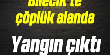 BILECIK-TE-COPLUK-ALANDA-YANGIN-CIKTI-7233