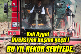 DİREKSİYOM