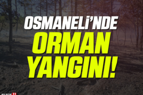 OSMANEL
