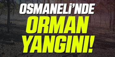 OSMANEL