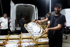 bilecik-haber_av-sezonunun-acilmasiyla-gurpinar-balik-hali-nde-palamut-bollugu-yasandi-26876.jpg