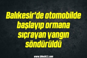 bilecik-haber_balikesir-de-otomobilde-baslayip-ormana-sicrayan-yangin-sonduruldu-20-20.jpg