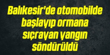 bilecik-haber_balikesir-de-otomobilde-baslayip-ormana-sicrayan-yangin-sonduruldu-20-20.jpg