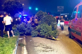 bilecik-haber_bursa-da-reklam-panosuyla-agaclara-carparak-devrilen-otomobildeki-iki-kisi-yaralandi-32613.jpg