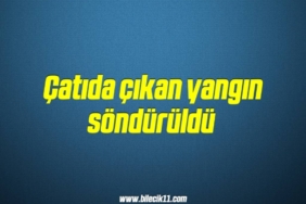 bilecik-haber_catida-cikan-yangin-sonduruldu-6-6.jpg