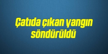 bilecik-haber_catida-cikan-yangin-sonduruldu-6-6.jpg
