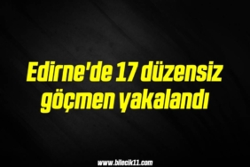 bilecik-haber_edirne-de-17-duzensiz-gocmen-yakalandi-19-19.jpg