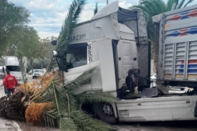 bilecik-haber_erdek-te-kontrolden-cikarak-agaca-carpan-tirin-surucusu-yaralandi-28886.jpg