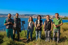 bilecik-haber_izmit-korfezi-nde-flamingo-populasyonu-artti-32904.jpg