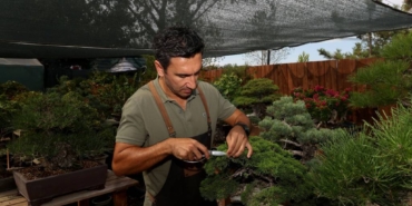 bilecik-haber_kurumsal-hayatini-birakip-estetikle-botanigin-birlestigi-bonsai-yetistiriciliginde-uzman-oldu-29663.jpg
