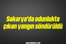 bilecik-haber_sakarya-da-odunlukta-cikan-yangin-sonduruldu-7-7.jpg