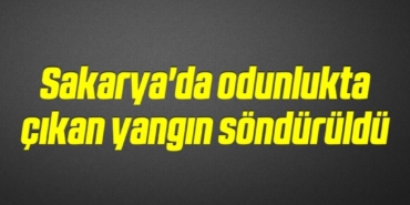 bilecik-haber_sakarya-da-odunlukta-cikan-yangin-sonduruldu-7-7.jpg