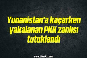 bilecik-haber_yunanistan-a-kacarken-yakalanan-pkk-zanlisi-tutuklandi-12-12.jpg