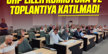 chp