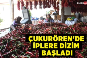dizim