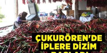 dizim