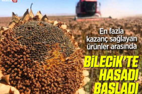 hasat