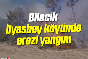 ilyasbey