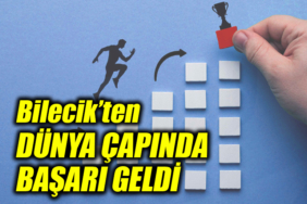 ßAŞARI