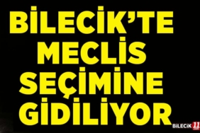 seçim