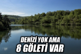 23D233D