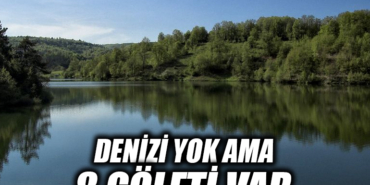23D233D