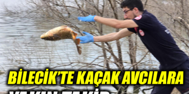 AVC