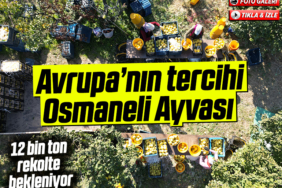 AYVA