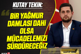 TEKİN