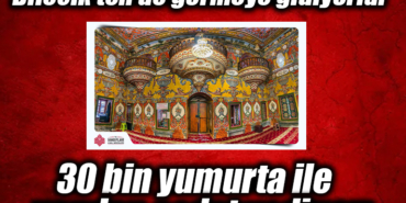 WEFWFWFWEFWEF