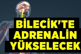 adranalinnnnnnnn