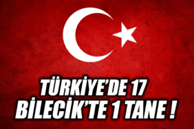 ayyg