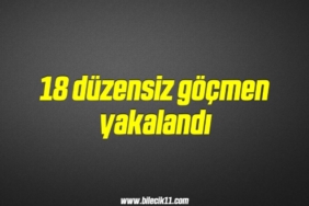 bilecik-haber_18-duzensiz-gocmen-yakalandi-19-19.jpg