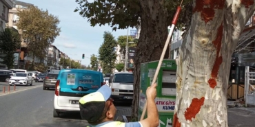 bilecik-haber_bahcelievler-belediyesi-iett-otobusunun-carptigi-agaca-asi-macunu-uygulamasi-yapti-36209.jpg