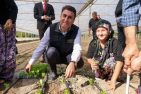 Bilecik'te 1 milyon 126 bin adet dağıtıldı