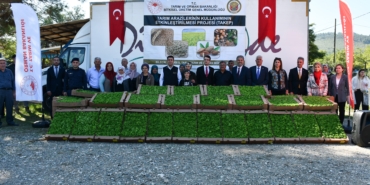 Bilecik'te 1 milyon 126 bin marul fidesi dağıtıldı