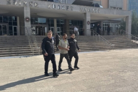 bilecik-haber_edirne-de-demir-yoluna-arac-birakarak-yolcu-treninin-kaza-yapmasina-neden-olan-surucu-tutuklandi-39974.jpg
