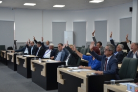İL ÖZEL İDARESİ OSMANELİ'NE ASFALT DÖKECEK